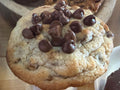 Belgian Bliss (double chocolate chip cookie)